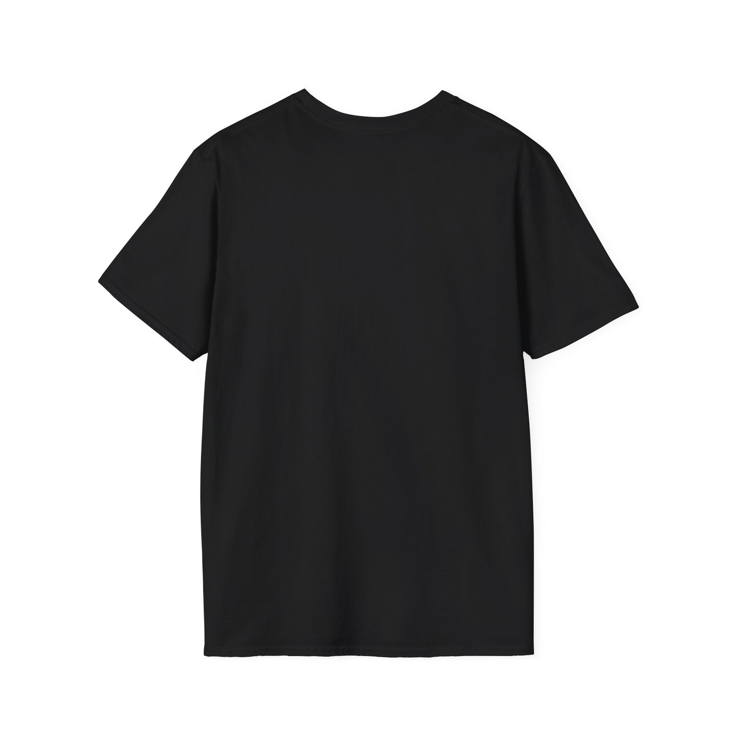 Dragonis Academy Unisex Softstyle T-Shirt, Fantasy Shirt, Gift for Book Lovers