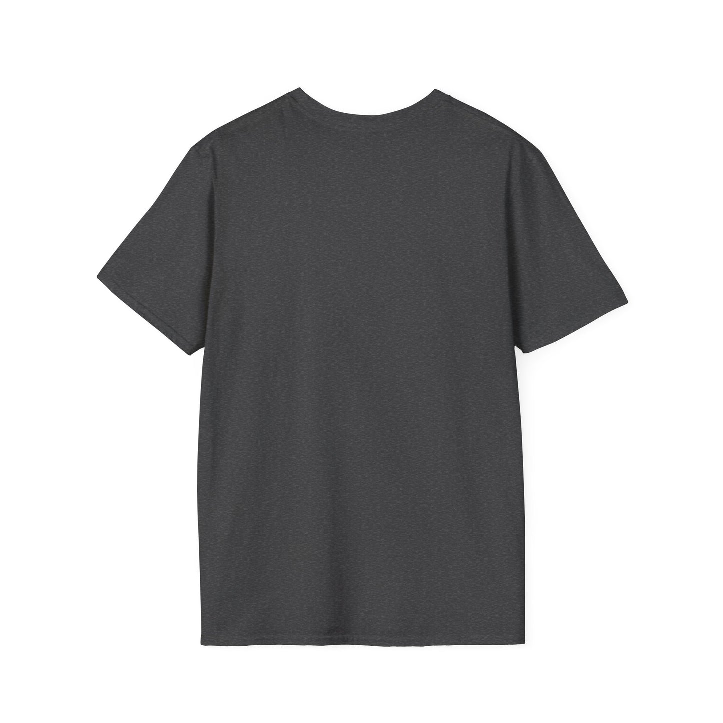 Dragonis Academy Unisex Softstyle T-Shirt, Fantasy Shirt, Gift for Book Lovers