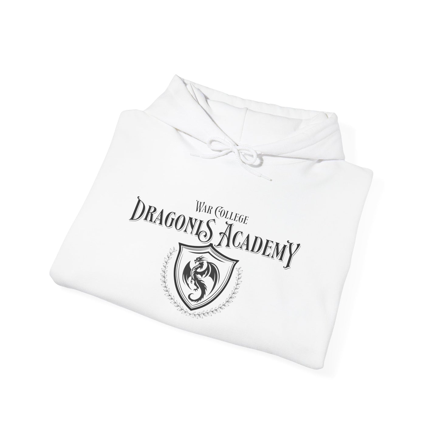 Dragons Academy Hoodie