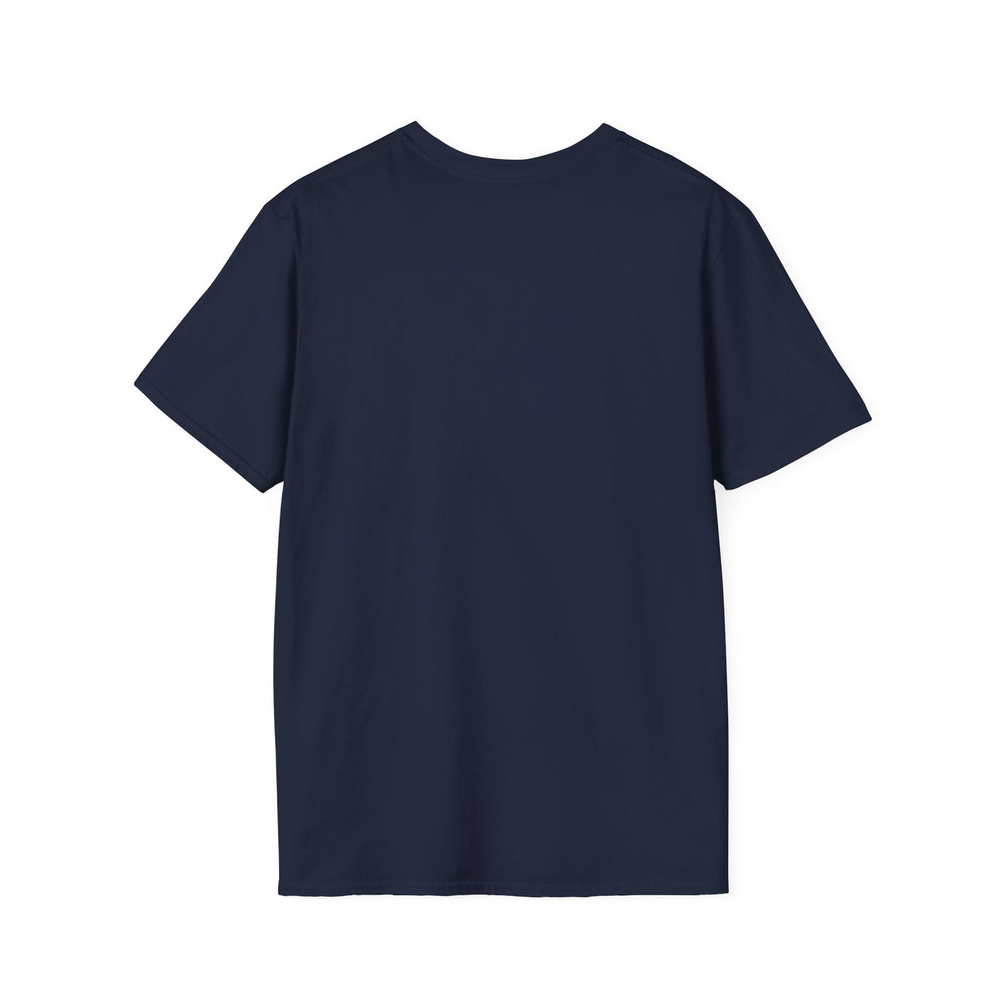 Dragonis Academy Unisex Softstyle T-Shirt, Fantasy Shirt, Gift for Book Lovers