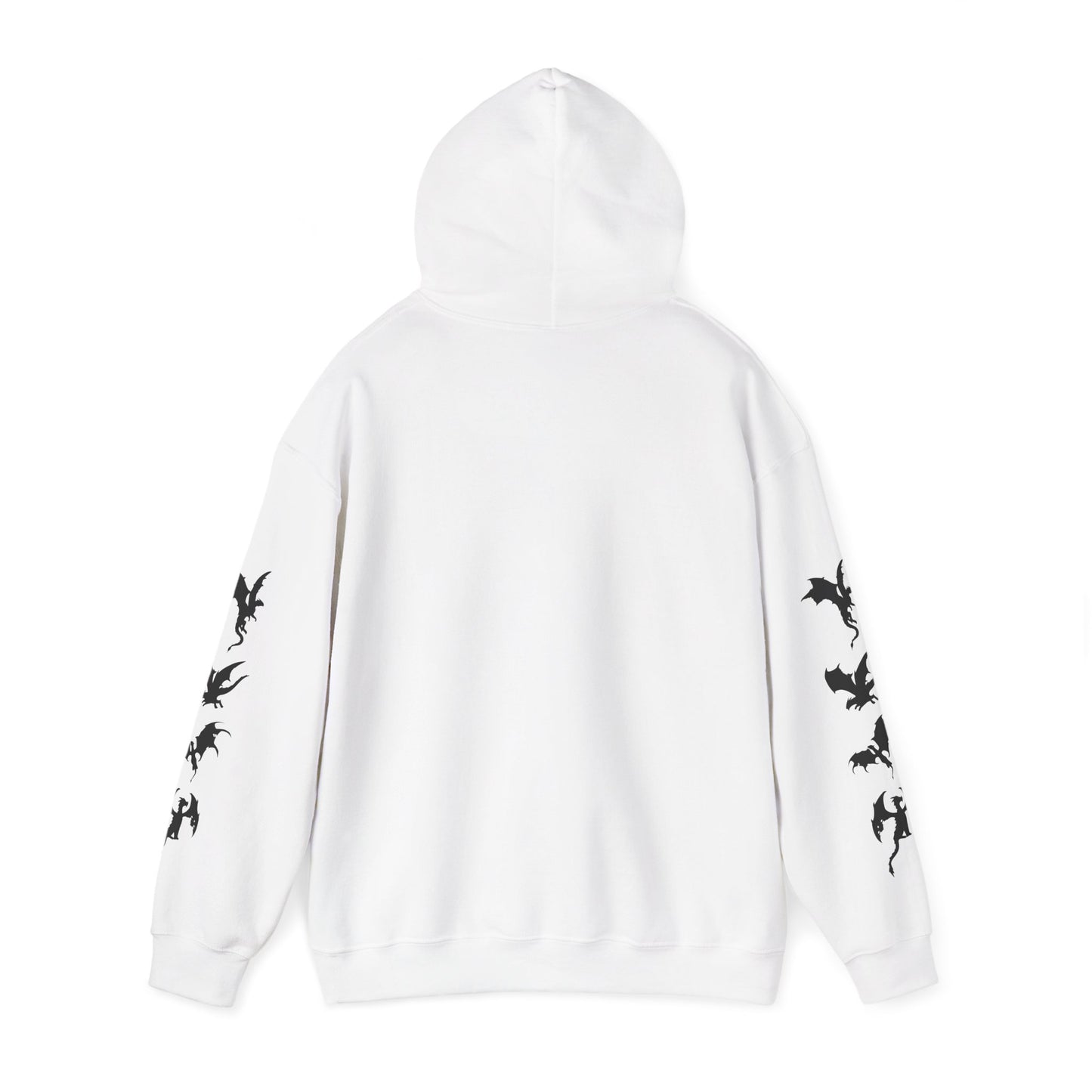 Dragons Academy Hoodie