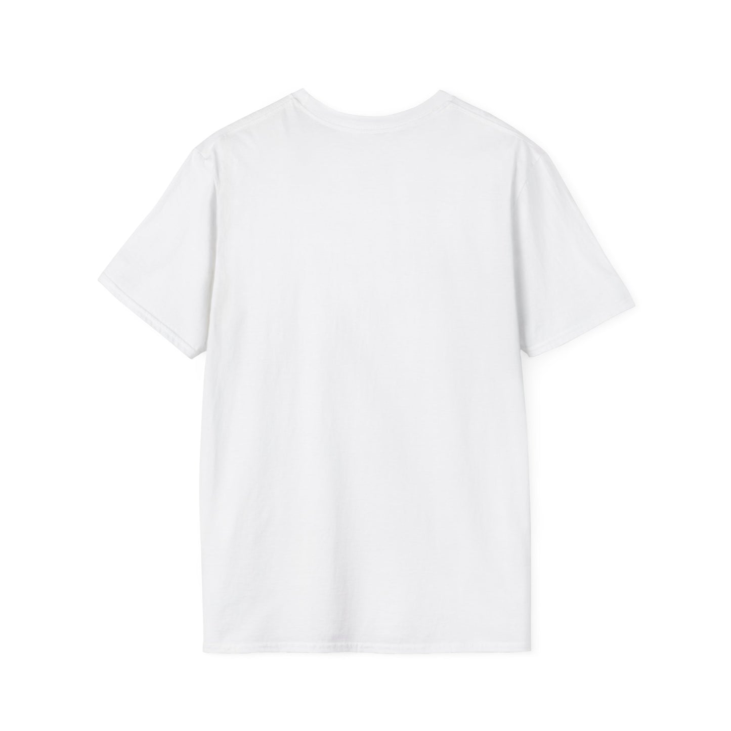 Dragonis Academy Unisex Softstyle T-Shirt, Fantasy Shirt, Gift for Book Lovers