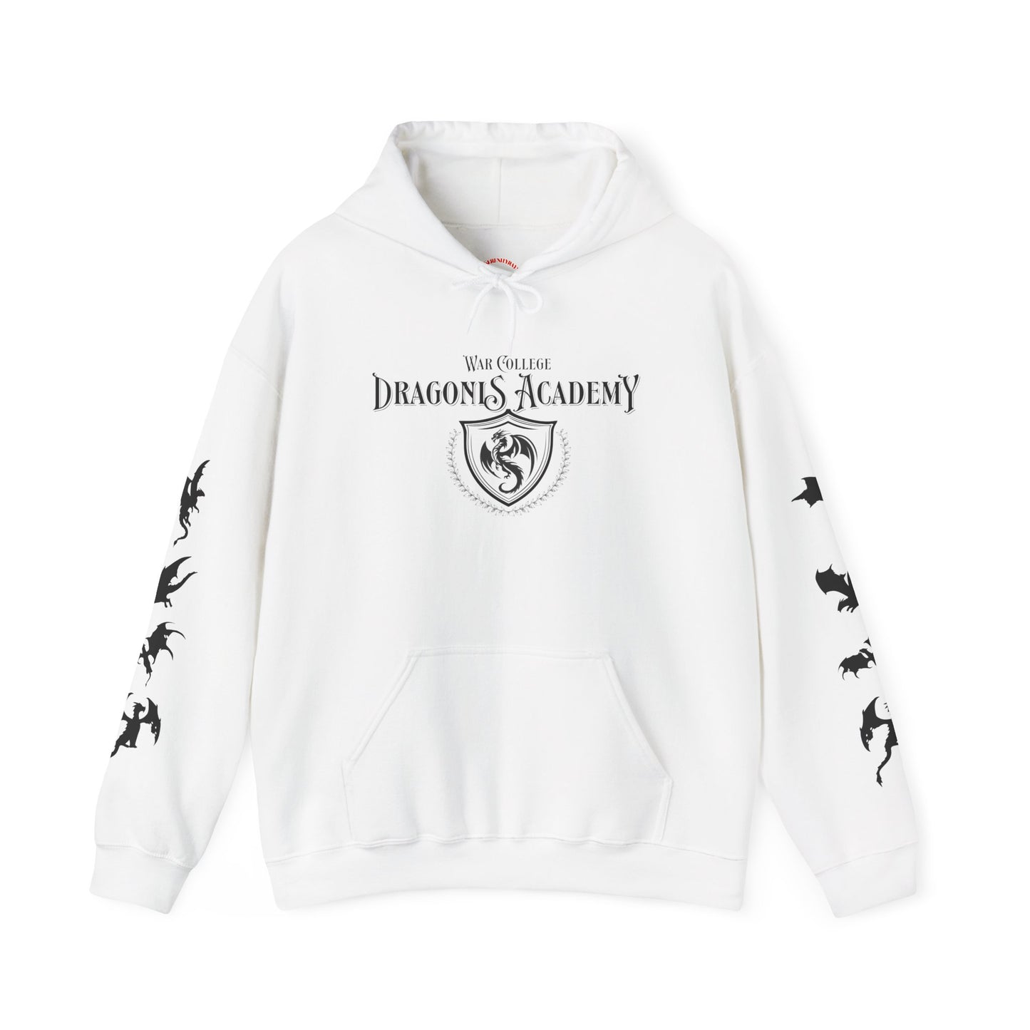 Dragons Academy Hoodie