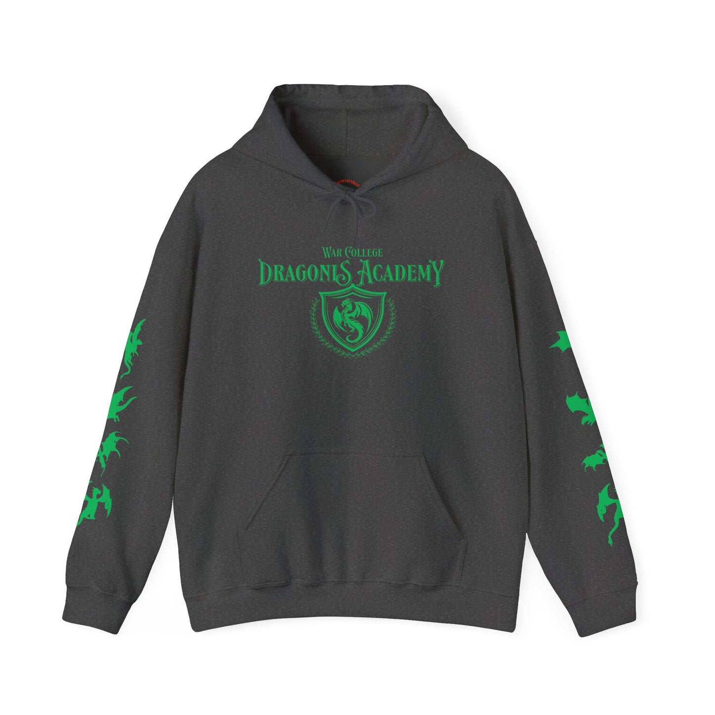Dragons Academy Hoodie