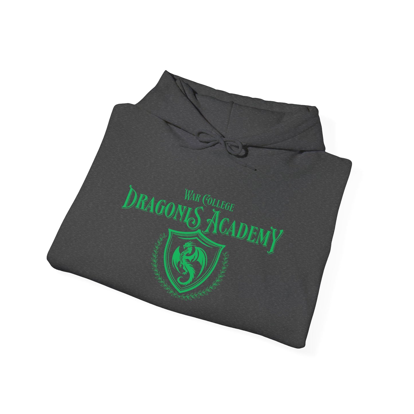 Dragons Academy Hoodie