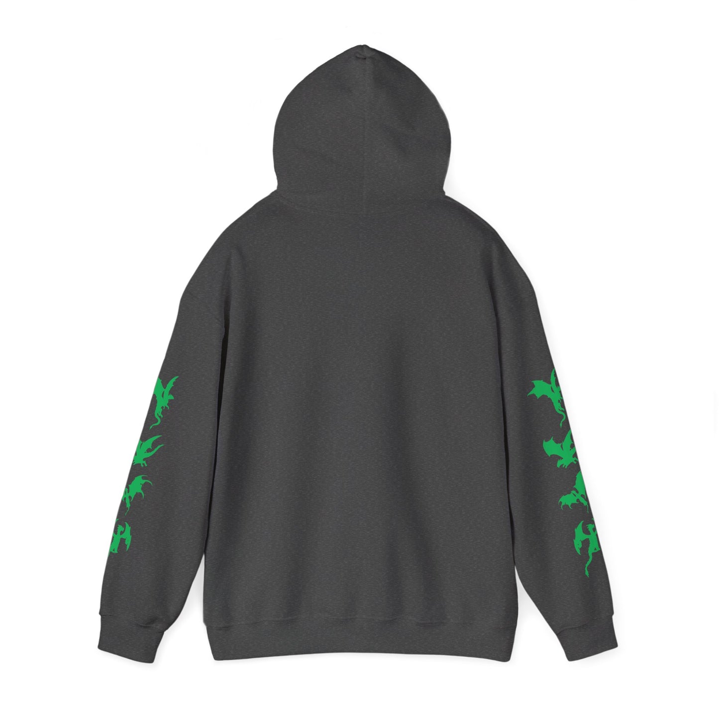Dragons Academy Hoodie